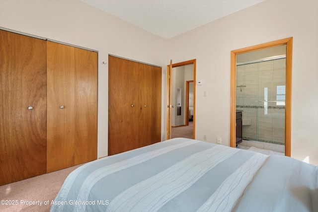 536 Spruce St, Aspen, CO 81611 - carpeted bedroom featuring two closets and connected bathroom