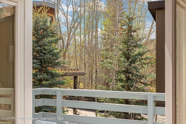 536 Spruce St, Aspen, CO 81611 - exterior space