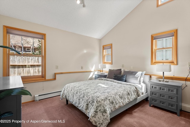 536 Spruce St, Aspen, CO 81611 - bedroom with carpet floors, a baseboard radiator, baseboards, and lofted ceiling