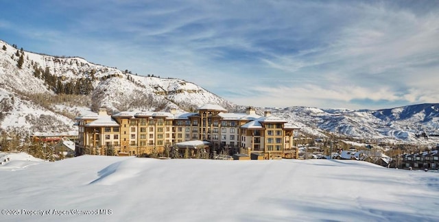 130 Wood Rd Unit 736, Snowmass Village, CO 81615 - photo 7