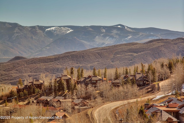 130 Wood Rd Unit 736, Snowmass Village, CO 81615 - photo 5