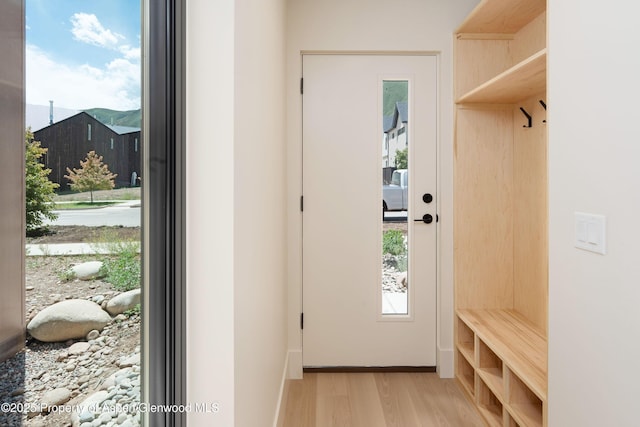 366 Stotts Mill Rd, Basalt, CO 81621 - mudroom with light wood-type flooring