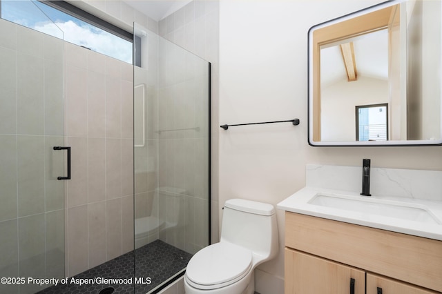 366 Stotts Mill Rd, Basalt, CO 81621 - bathroom featuring healthy amount of natural light, vanity, and a stall shower