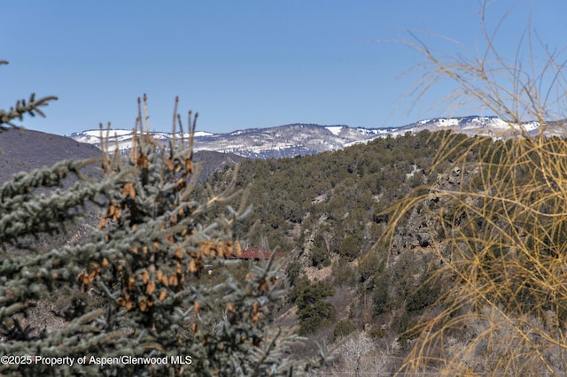 view of mountain feature