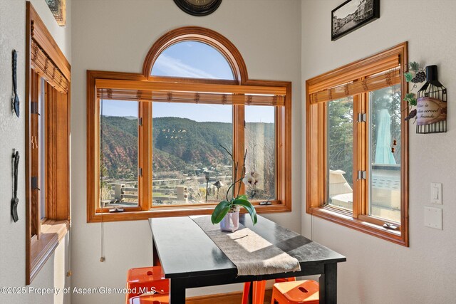 175 Dolores Cir, Glenwood Springs, CO 81601 - photo 17