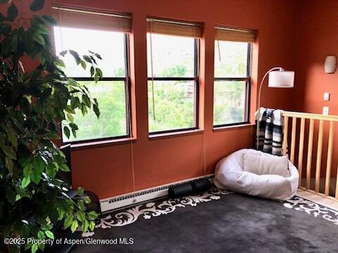 2505 Cisar Ct Unit 3G, Glenwood Springs, CO 81601