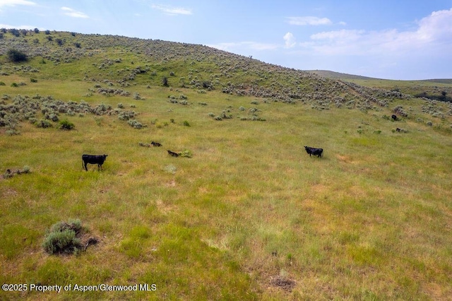 46045 Rock Springs Ln, Hayden, CO 81639 - photo 84