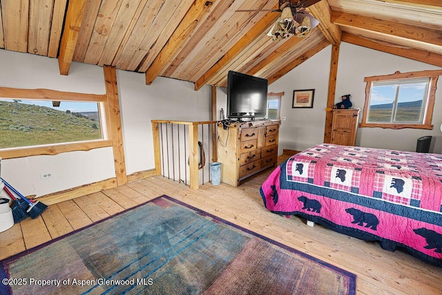 46045 Rock Springs Ln, Hayden, CO 81639 - photo 63