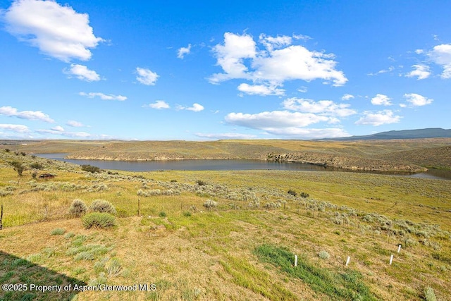 46045 Rock Springs Ln, Hayden, CO 81639 - photo 131