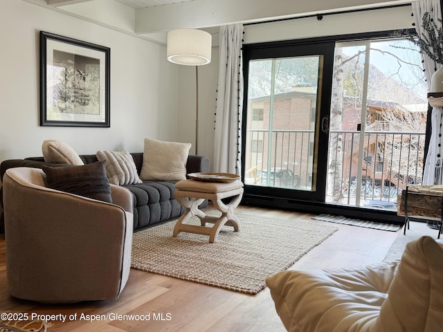 living area featuring wood finished floors