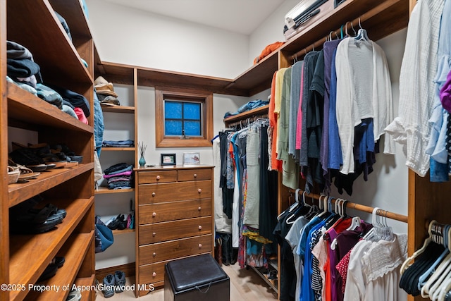 1185 Heritage Dr, Carbondale, CO 81623 - view of spacious closet