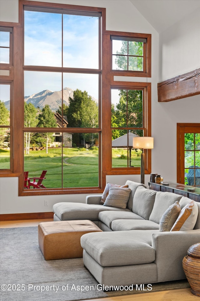1185 Heritage Dr, Carbondale, CO 81623 - living area with a mountain view, high vaulted ceiling, and wood finished floors