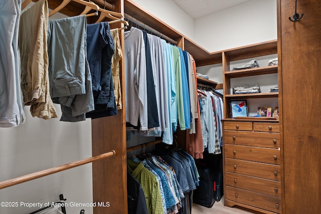 1185 Heritage Dr, Carbondale, CO 81623 - view of walk in closet