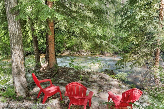 645 Sneaky Ln, Aspen, CO 81611 - photo 4