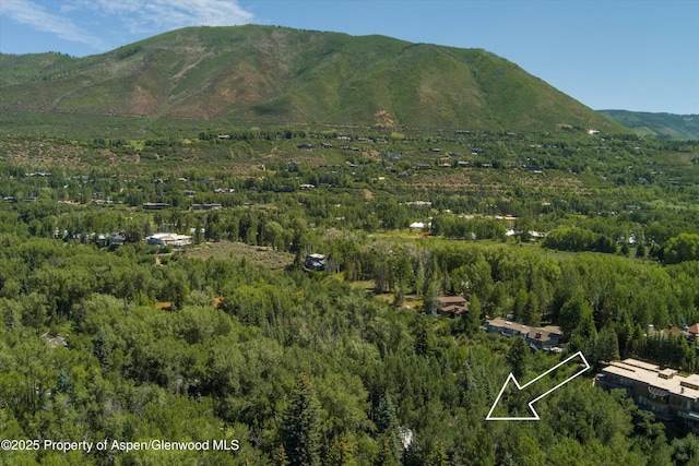 645 Sneaky Ln, Aspen, CO 81611 - photo 38