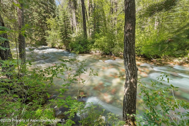 645 Sneaky Ln, Aspen, CO 81611 - photo 35