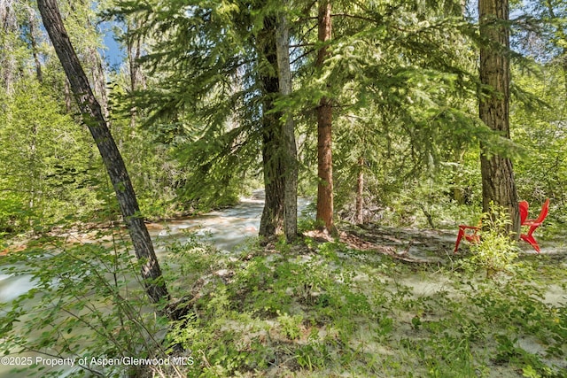 645 Sneaky Ln, Aspen, CO 81611 - photo 2