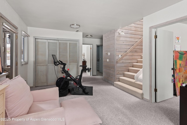 645 Sneaky Ln, Aspen, CO 81611 - exercise room with carpet flooring