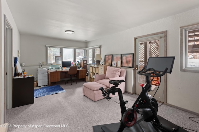 645 Sneaky Ln, Aspen, CO 81611 - photo 20