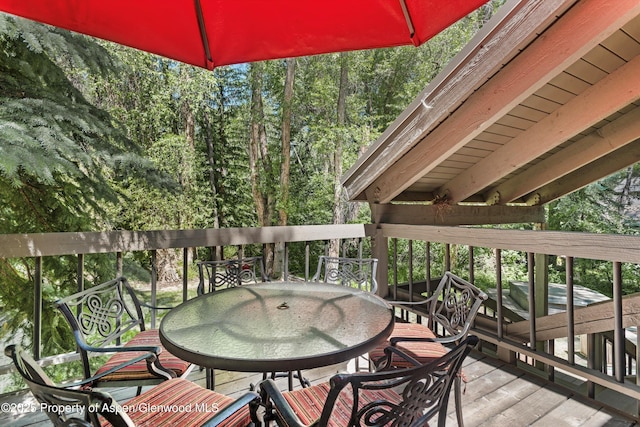 645 Sneaky Ln, Aspen, CO 81611 - photo 11