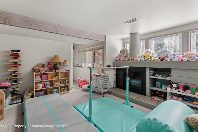645 Sneaky Ln, Aspen, CO 81611 - recreation room featuring carpet and healthy amount of natural light