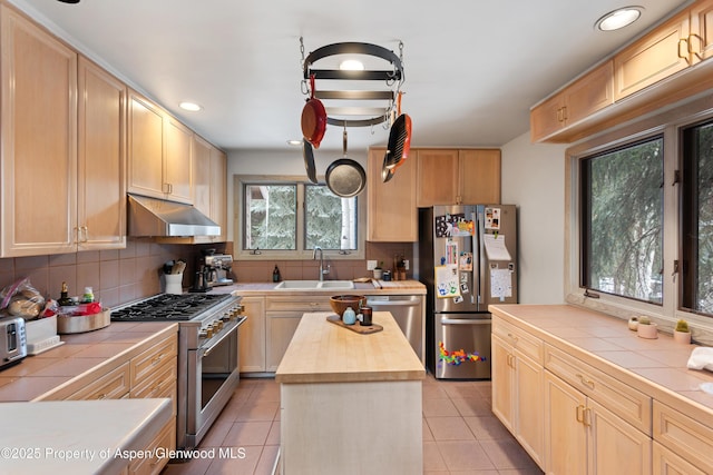645 Sneaky Ln, Aspen, CO 81611 - photo 21