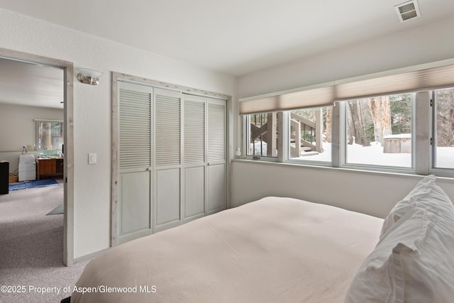 645 Sneaky Ln, Aspen, CO 81611 - bedroom with carpet, multiple windows, and a closet