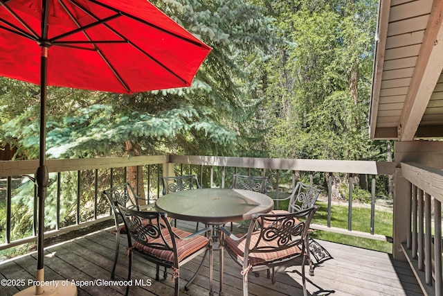 645 Sneaky Ln, Aspen, CO 81611 - photo 14