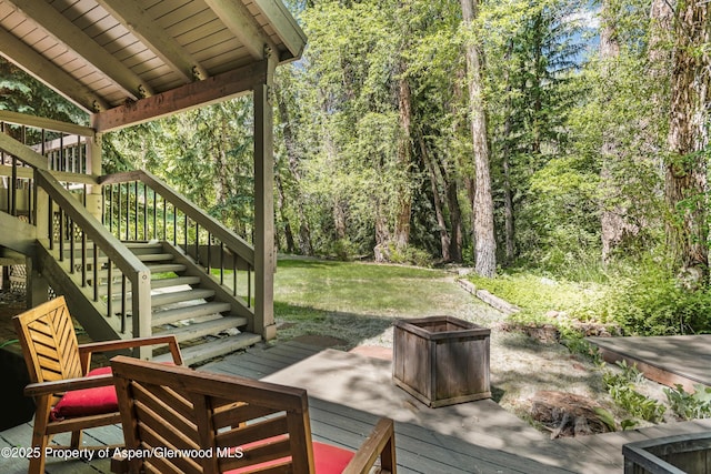 645 Sneaky Ln, Aspen, CO 81611 - photo 9