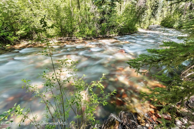 645 Sneaky Ln, Aspen, CO 81611 - photo 36