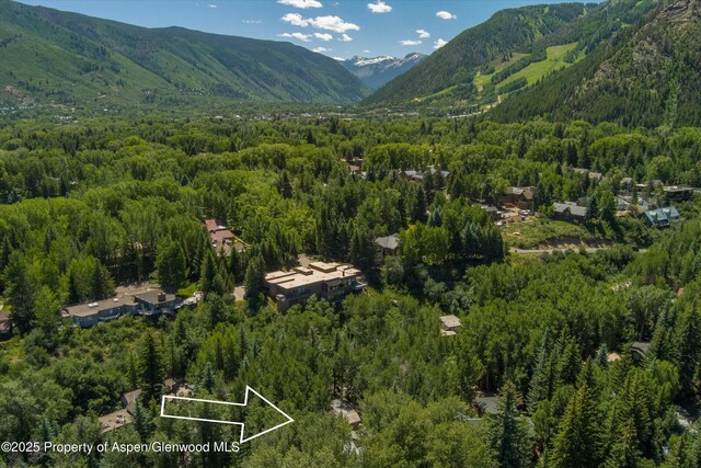 645 Sneaky Ln, Aspen, CO 81611 - photo 37