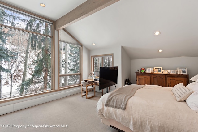 645 Sneaky Ln, Aspen, CO 81611 - bedroom with light colored carpet and recessed lighting