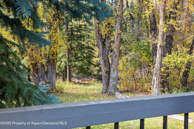 645 Sneaky Ln, Aspen, CO 81611 - view of road with a wooded view