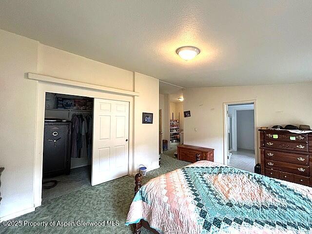 4050 County Road 7, Craig, CO 81625 - carpeted bedroom with a closet and a textured ceiling