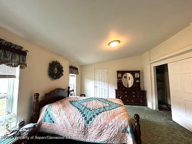 4050 County Road 7, Craig, CO 81625 - carpeted bedroom featuring lofted ceiling