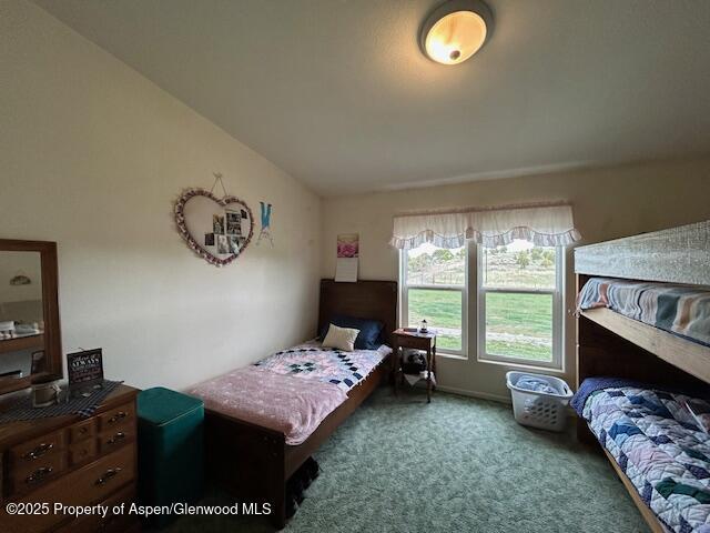 4050 County Road 7, Craig, CO 81625 - view of carpeted bedroom