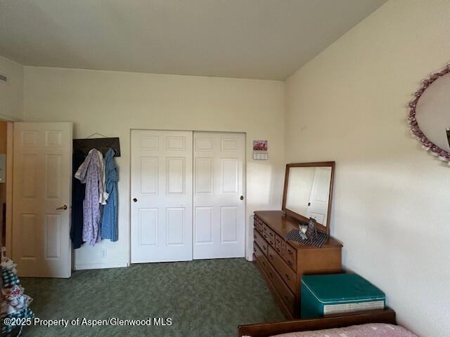 4050 County Road 7, Craig, CO 81625 - bedroom with dark carpet and a closet