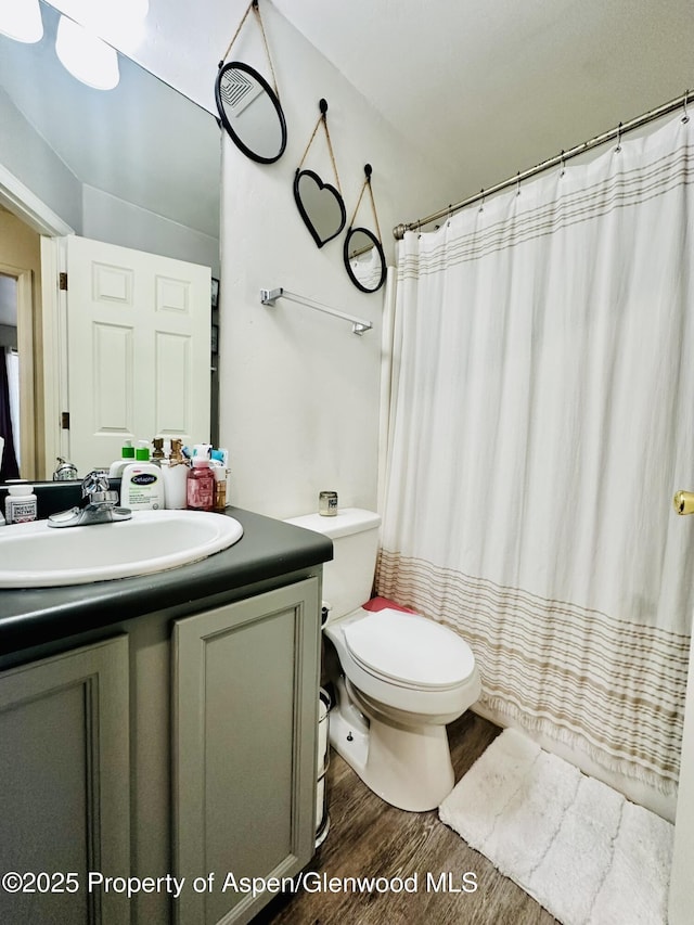 2529 Meadow Cir, Rifle, CO 81650 - bathroom with wood finished floors and vanity