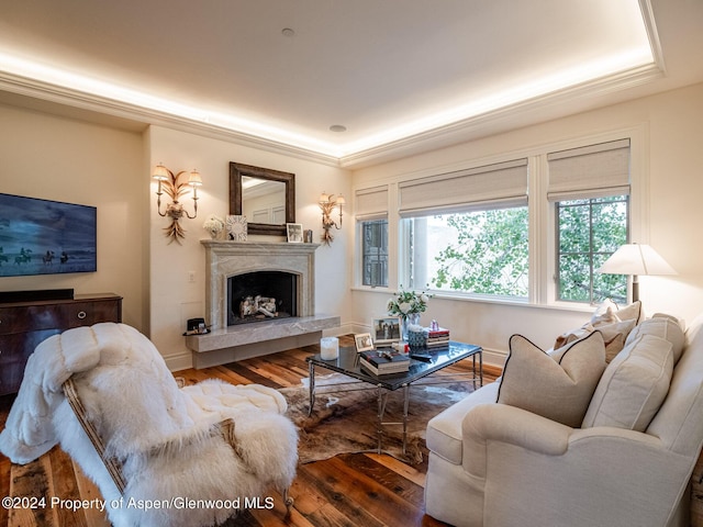 living room with a raised ceiling, hardwood / wood-style floors, and ornamental molding