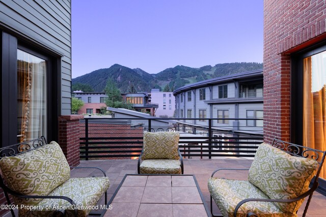 501 Rio Grande Pl Unit 204, Aspen, CO 81611 - photo 4