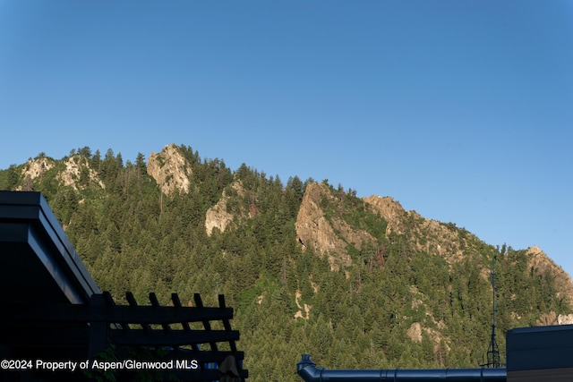 501 Rio Grande Pl Unit 204, Aspen, CO 81611 - photo 7