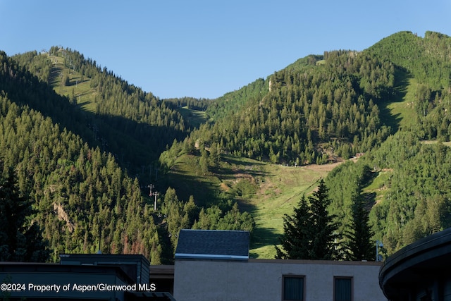 501 Rio Grande Pl Unit 204, Aspen, CO 81611 - photo 6