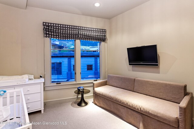 501 Rio Grande Pl Unit 204, Aspen, CO 81611 - photo 26