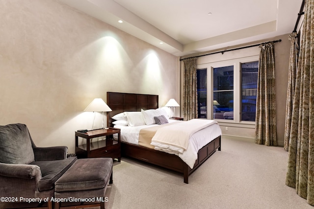 501 Rio Grande Pl Unit 204, Aspen, CO 81611 - photo 18