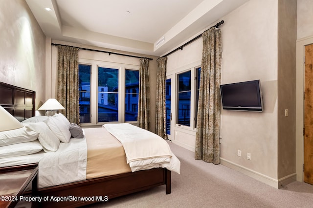 501 Rio Grande Pl Unit 204, Aspen, CO 81611 - photo 19