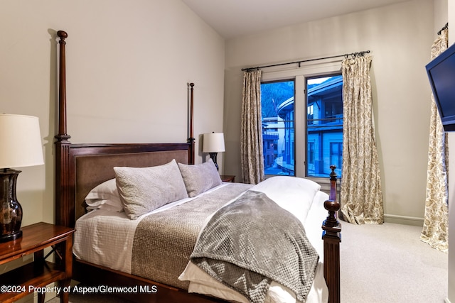 501 Rio Grande Pl Unit 204, Aspen, CO 81611 - photo 22