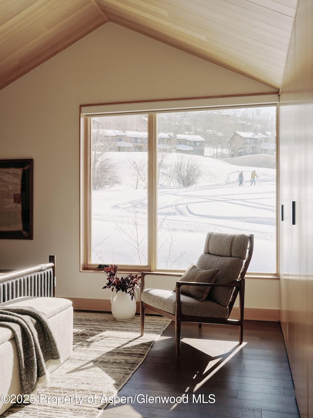 interior space featuring vaulted ceiling, wood-type flooring, baseboards, and radiator