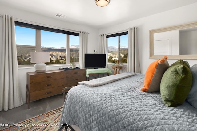 236 Paintbrush Way, Glenwood Springs, CO 81601 - bedroom featuring visible vents and dark carpet