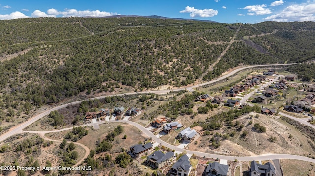 236 Paintbrush Way, Glenwood Springs, CO 81601 - birds eye view of property with a mountain view and a wooded view