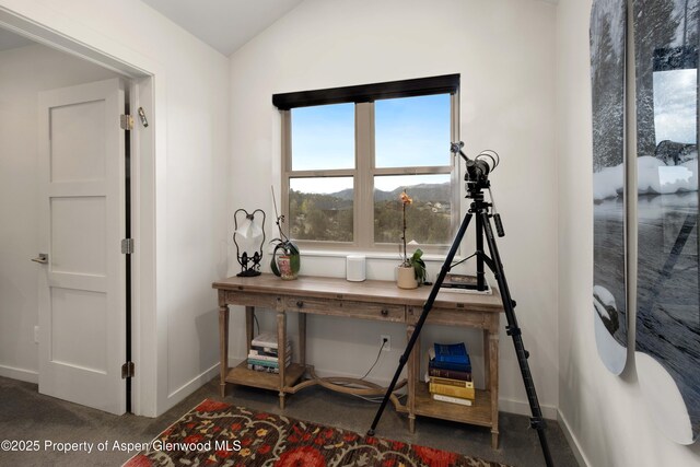 236 Paintbrush Way, Glenwood Springs, CO 81601 - carpeted office with baseboards and vaulted ceiling